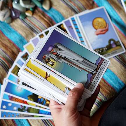 pexels-davegarcia-32771804