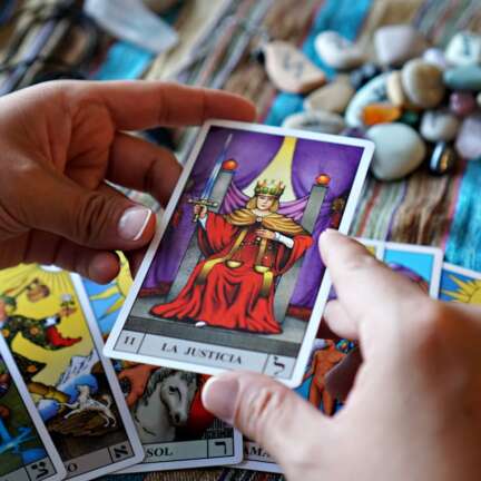 pexels-davegarcia-32771820